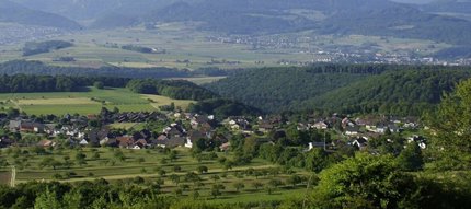 Commercial for rent, Zwingenstrasse 6 (Blauen, Switzerland) 1/1