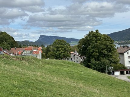 Land Plot for sale, Chemin des Mélèzes (Le Chenit, Switzerland) 1/1