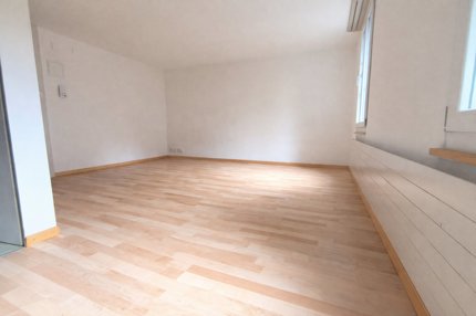 Charmante 1-Zimmer-Wohnung in St. Gallen mit neuer Küche 1/3