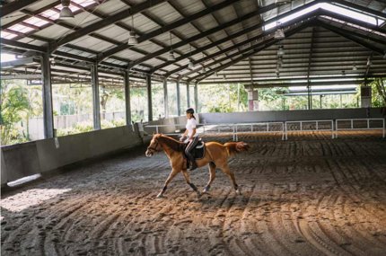 Ricerca terreno per scuderia - zona Piano di Magadino 1/1