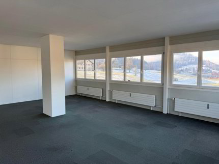 Building for rent, Sihlbruggstrasse 140 (Baar, Switzerland) 1/5