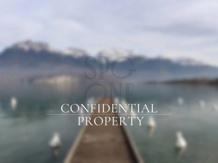 undefined 1/1