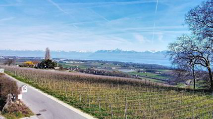 Villa with 6.5 rooms on sale in Bougy-Villars - 360 m² 1/5