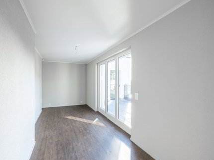 4.5-Zimmer-Attikawohnung 1/5