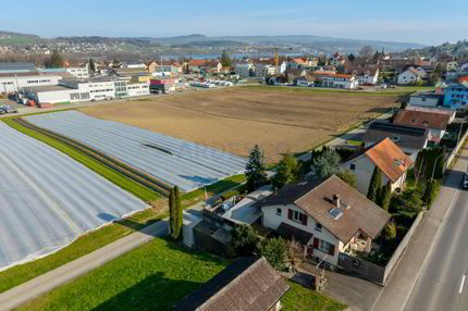 Maison individuelle de 5.5 pièces en vente à Hallwil - 135 m² 1/5