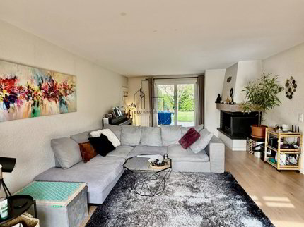 Maison de 4.5 pièces en vente à Chavannes-de-Bogis - 165 m² 1/5
