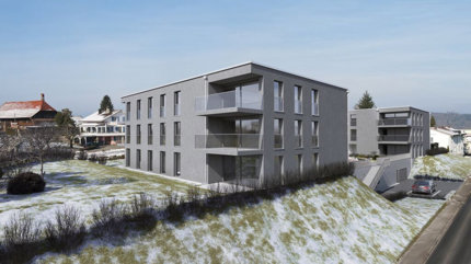 A vendre appartement de 2,5 ces avec jardin sur la Commune de Misery 1/5