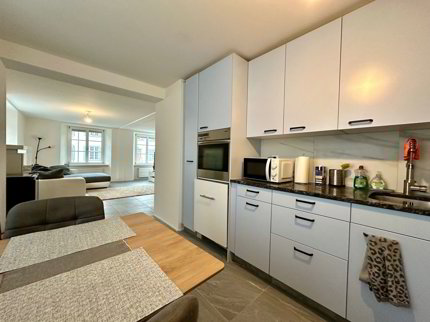 Appartement de 3.5 pièces en location à Waldenburg - 80 m² 1/5