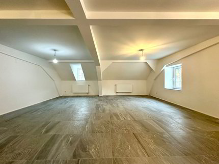 Duplex de 5.5 pièces en location à Waldenburg - 170 m² 1/5