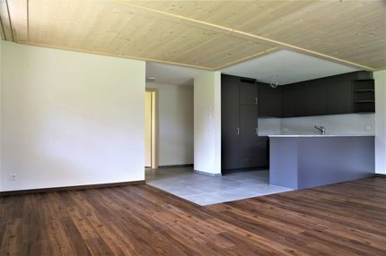 Appartement moderne de 3,5 pièces à Château-d'Oex 1/5