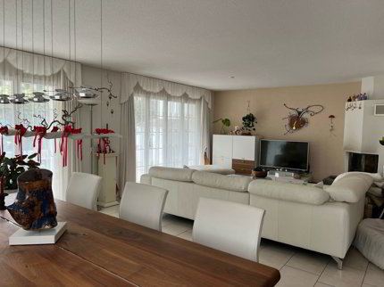 Maison individuelle de 7.5 pièces en vente à Villmergen - 70 m² 1/5