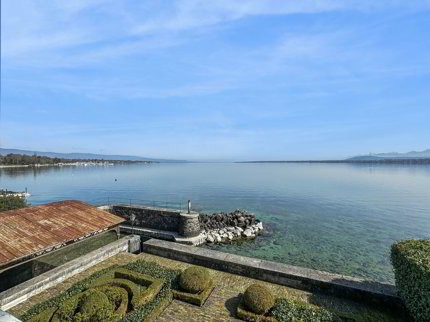 Maison de Maître de 18 pièces en vente à Versoix - 660 m² 1/5