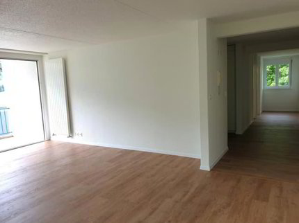 Vaste appartement rénové de 5,5 pièces avec 2 balcons en plein coeur... 1/5
