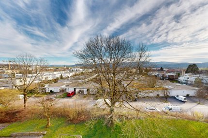 Wohnung mit schöner Aussicht über Therwil 1/5