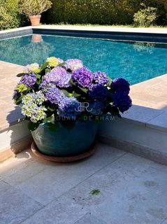 House for rent in Founex, CH 1/1