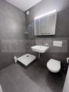 Apartment for rent in Geneva, Switzerland 1/3