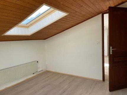Bex : à louer charmant appartement 2 pièces rénové 1/5