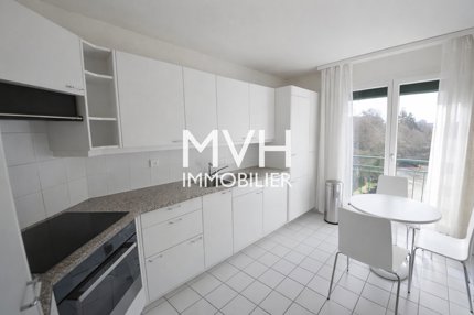 Apartment for rent in Geneva, Switzerland 1/5