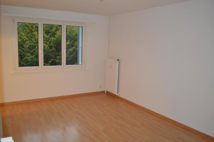 2 Zimmer Wohnung 1/5
