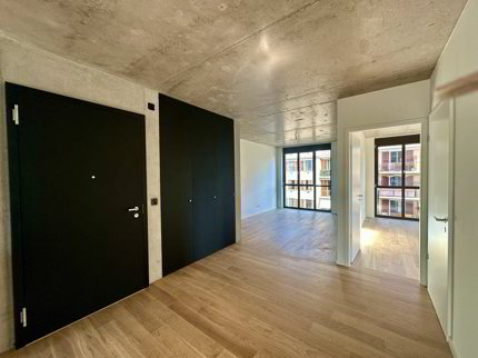 Appartement with 5 rooms for rent in Carouge - Ref 113879967 1/5