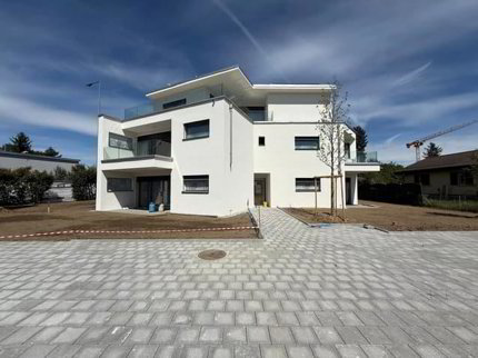 Lot B: Four-room apartment - Garden ground floor 1/1
