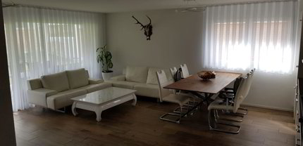 exklusive moderne 4.5-Zimmerwohnung mit Sitzplatz 1/5