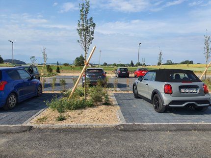 Parking for rent, Chemin des Lièvres (Cossonay, Switzerland) 1/1