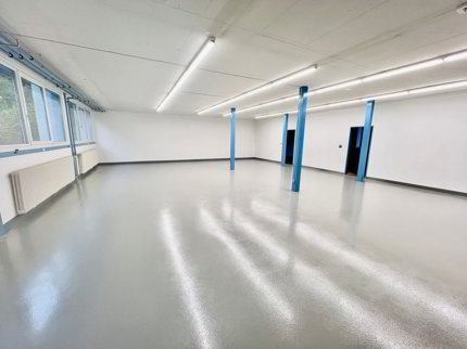 Atelier de fabrication de 3 pièces en location à Hirzel - 135 m² 1/5