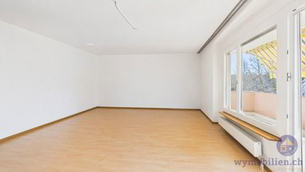 Appartement de 4 pièces en vente à Kirchberg BE - 119 m² 1/5