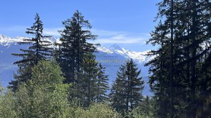 Terrain à bâtir en vente à Savièse - Réf ter26 1/5