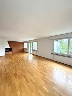 Schöne 4.5-Zimmer-Attika-Wohnung 1/5