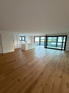 LUXURIÖSE 5.5-ZIMMER ATTIKAWOHNUNG - ERSTBEZUG 1/5