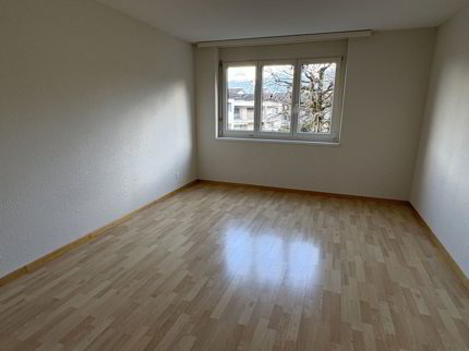2.5 Zimmer-Wohnung in gepflegtem Wohnquartier 1/5