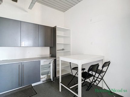Commercial for rent, Chemin de la Vuarpillière 3 (Nyon, Switzerland) 1/5