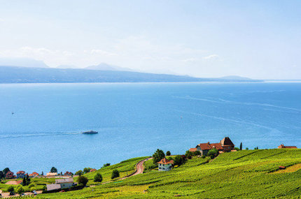 House for sale in Nyon, Switzerland 1/1