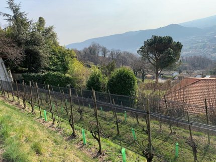 Land Plot for sale, Zona Buee (Caneggio, Switzerland) 1/5