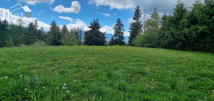Apartment for sale, Route du Pas-de-l'Ours 69 (Lens, Switzerland) 1/5