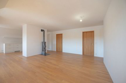 Exklusive Dachwohnung mit traumhaftem Rheinblick 1/5