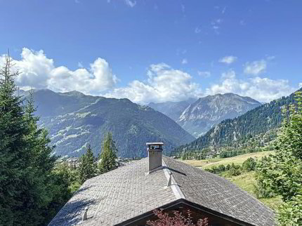 CHALET DE 3 APPARTEMENTS 1/5