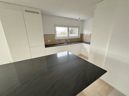 House for rent in Ecublens, Switzerland 1/5