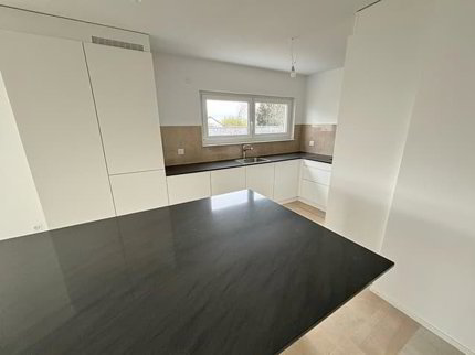 Villa moderne 5,5 pièces avec jardin ? Ecublens (VD) 1/5