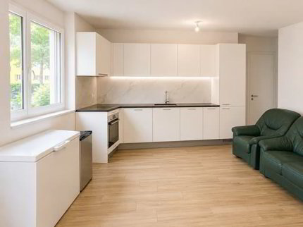 Magnifique appartement 2.5 pièces à Uvrier 1/5