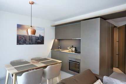 Studio meublé Standard /Furnished studio Standard Nyon 1/5