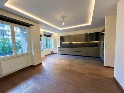 Apartment for rent in Geneva, Switzerland 1/5