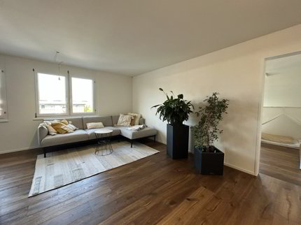 Frisch renovierte 4.5-Zimmer-Wohnung zu vermieten 1/5