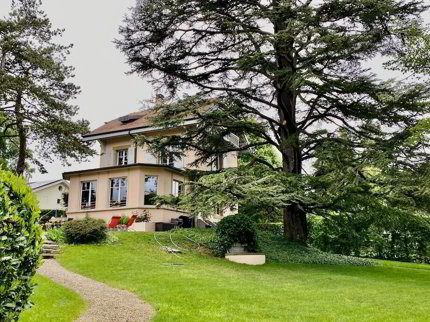 Maison individuelle with 6 rooms on sale in Versoix - 297 m² 1/3