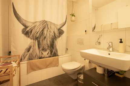 Apartment for rent, Merlachfeld 181 (Murten, Switzerland) 1/5