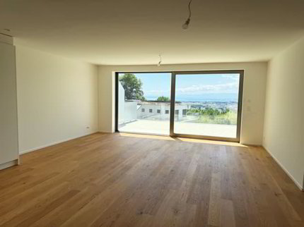 2.5 pièces en attique avec grande terrasse et vue sur le lac 1/5