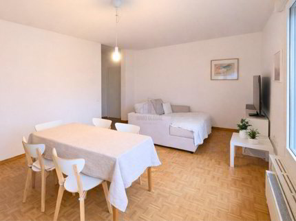 Maison de 1 pièce en vente à Lugano - 760 m² 1/5