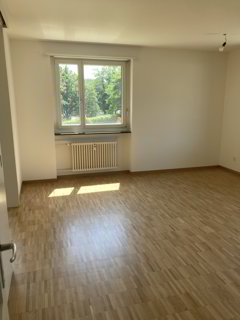 Apartment for rent, Binningerstrasse 154 (Allschwil, Switzerland) 1/5